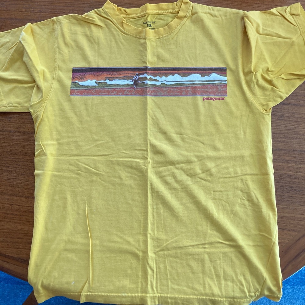 Patagonia tshirt